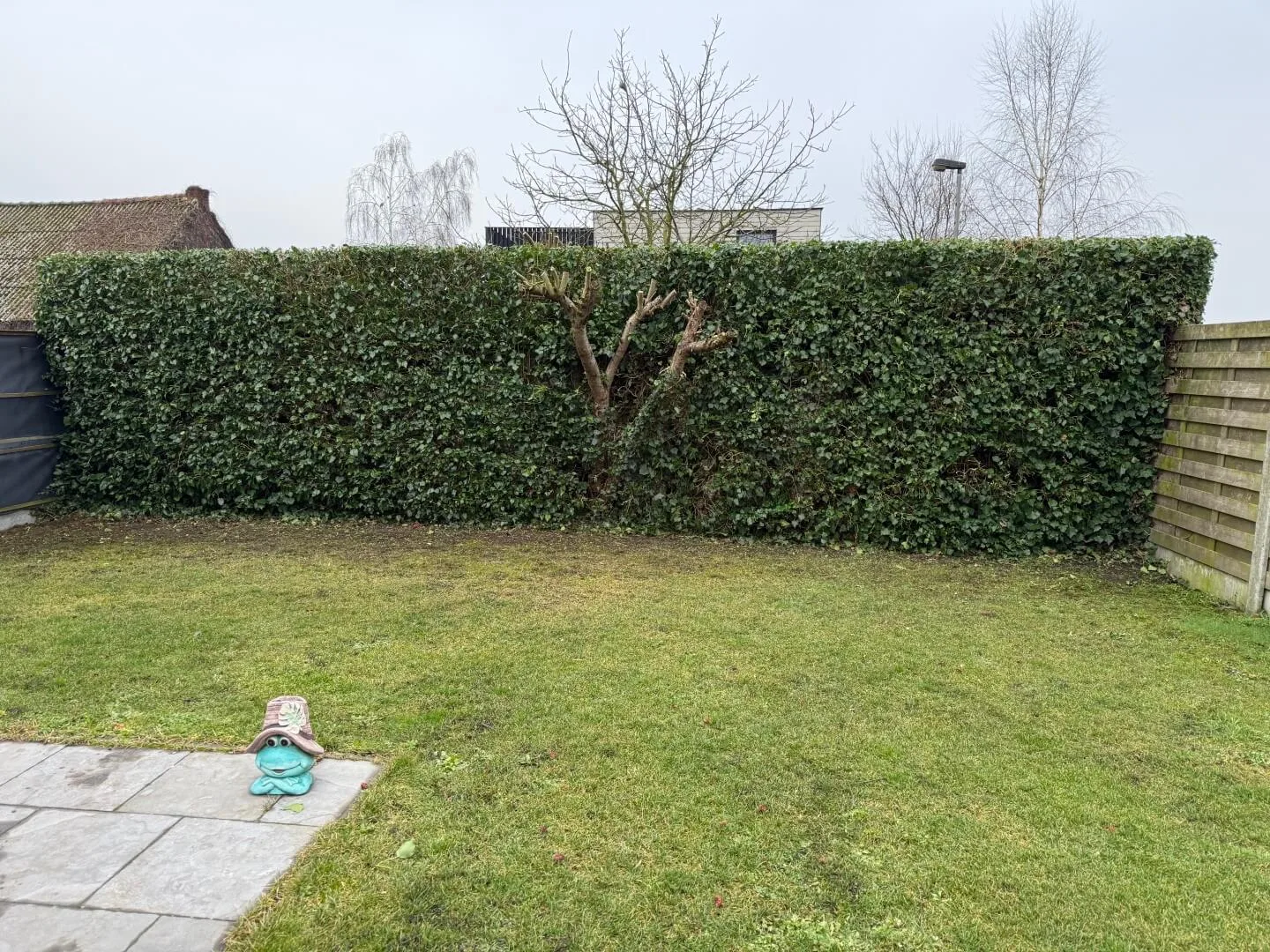 Tuinonderhoud Wichelen Margote 2