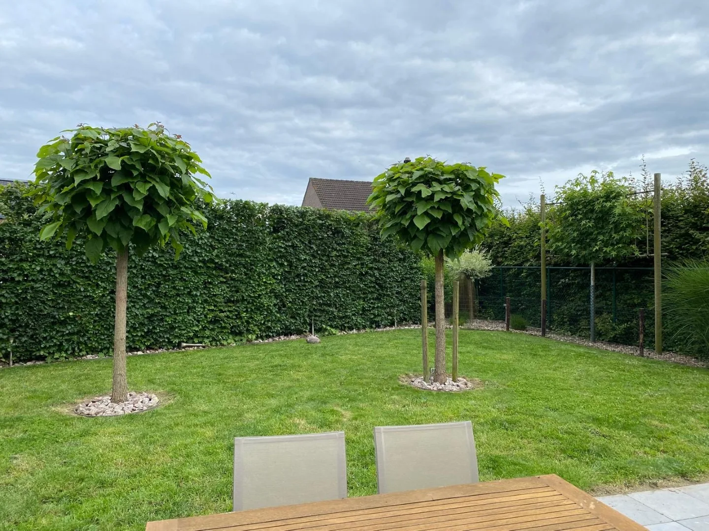 Tuinonderhoud foto 20