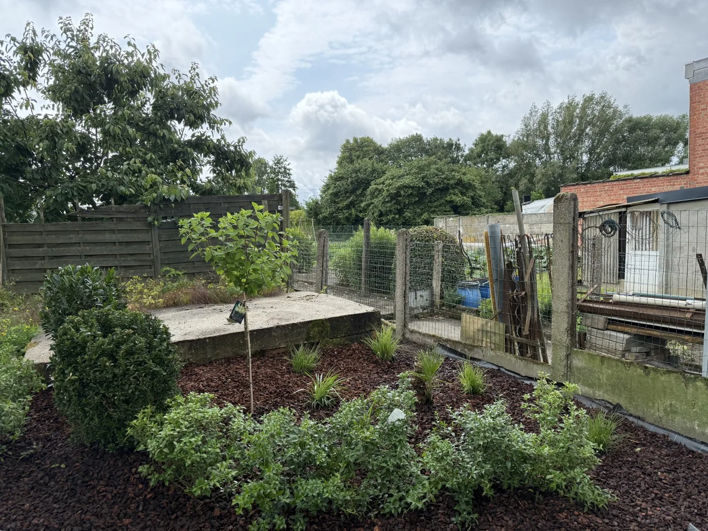 Tuinonderhoud foto 11