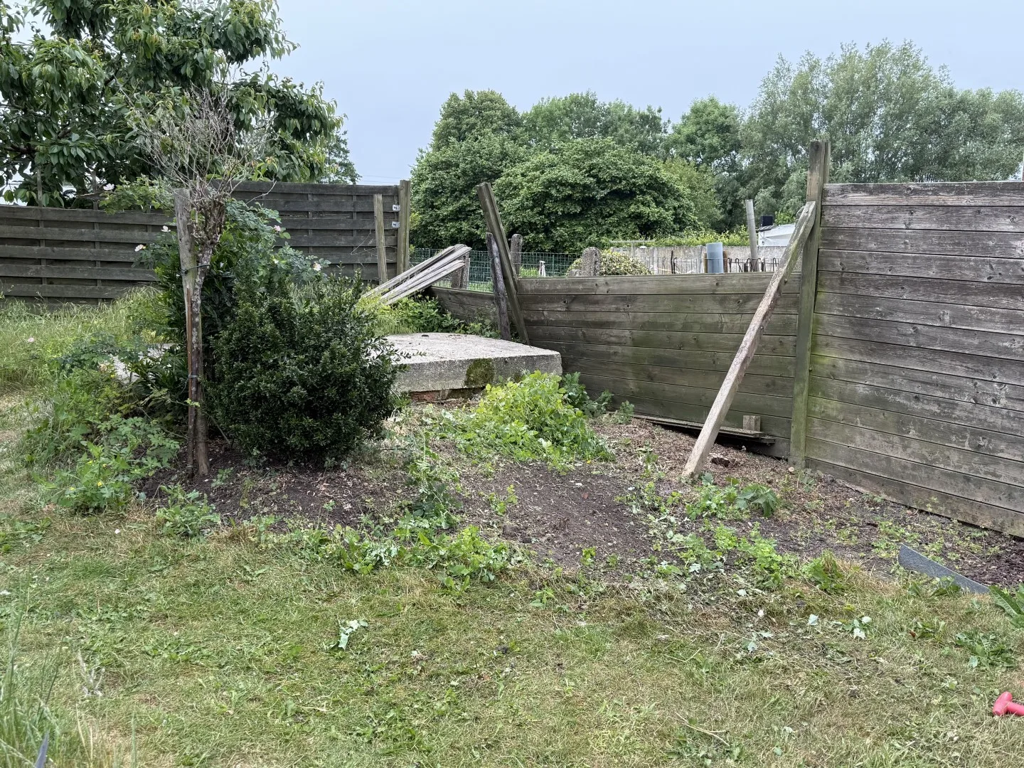 Tuinonderhoud foto 6