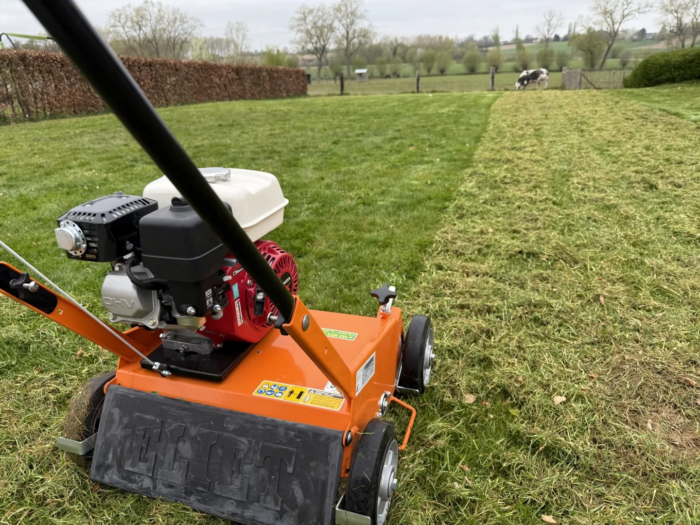 Tuinonderhoud foto 12