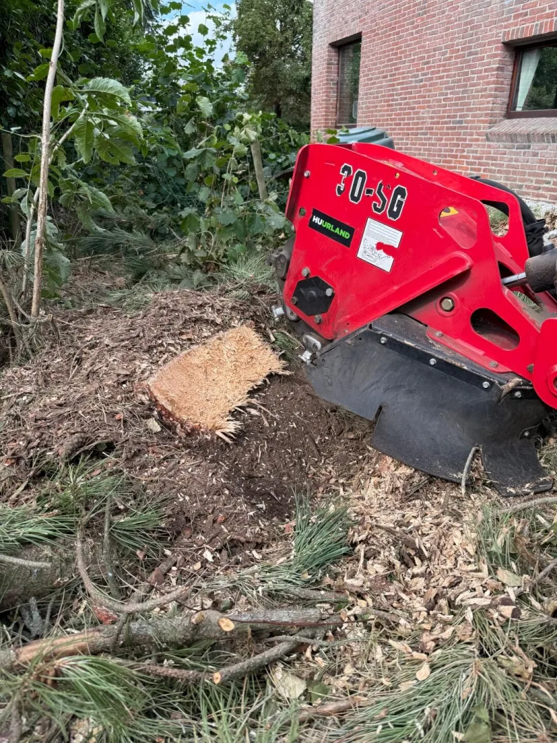 Bomen vellen Aalter 2