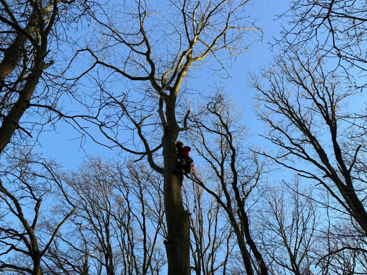 Tuinonderhoud volledig op maat