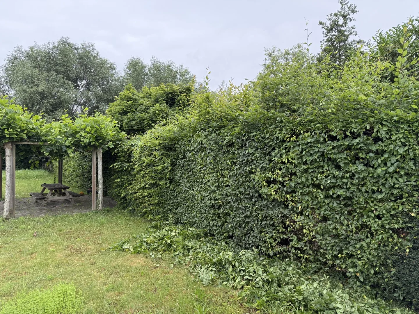 Tuinonderhoud foto 9