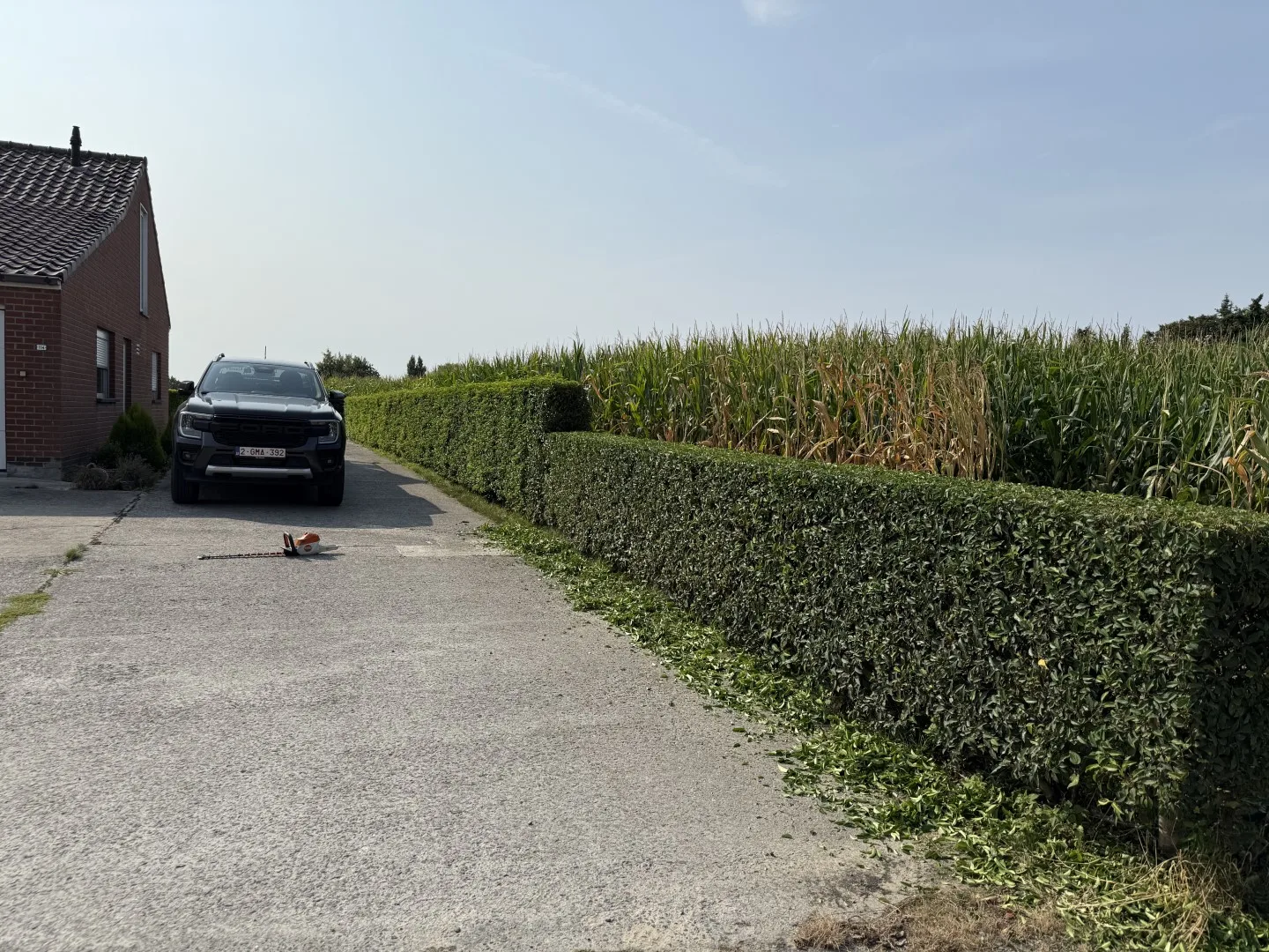 Tuinonderhoud foto 7