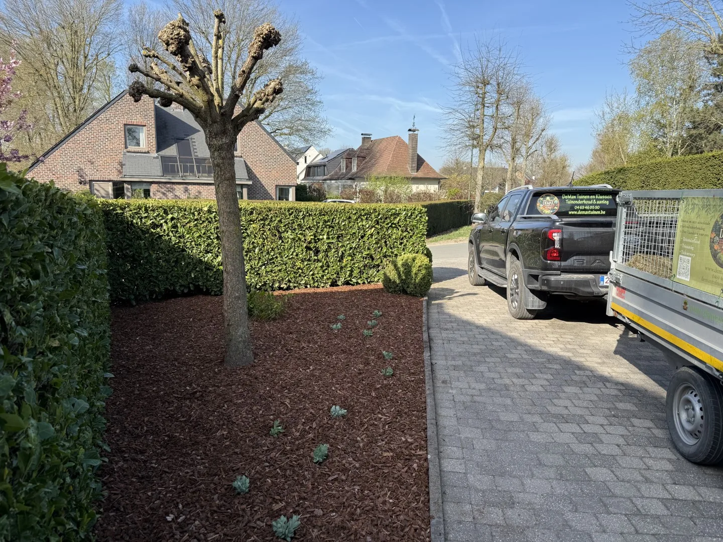 Bomen vellen en snoeien foto 9