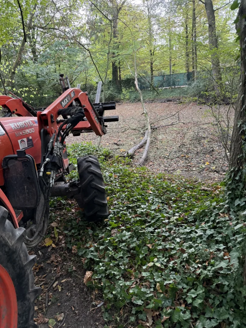 Tuinonderhoud foto 13