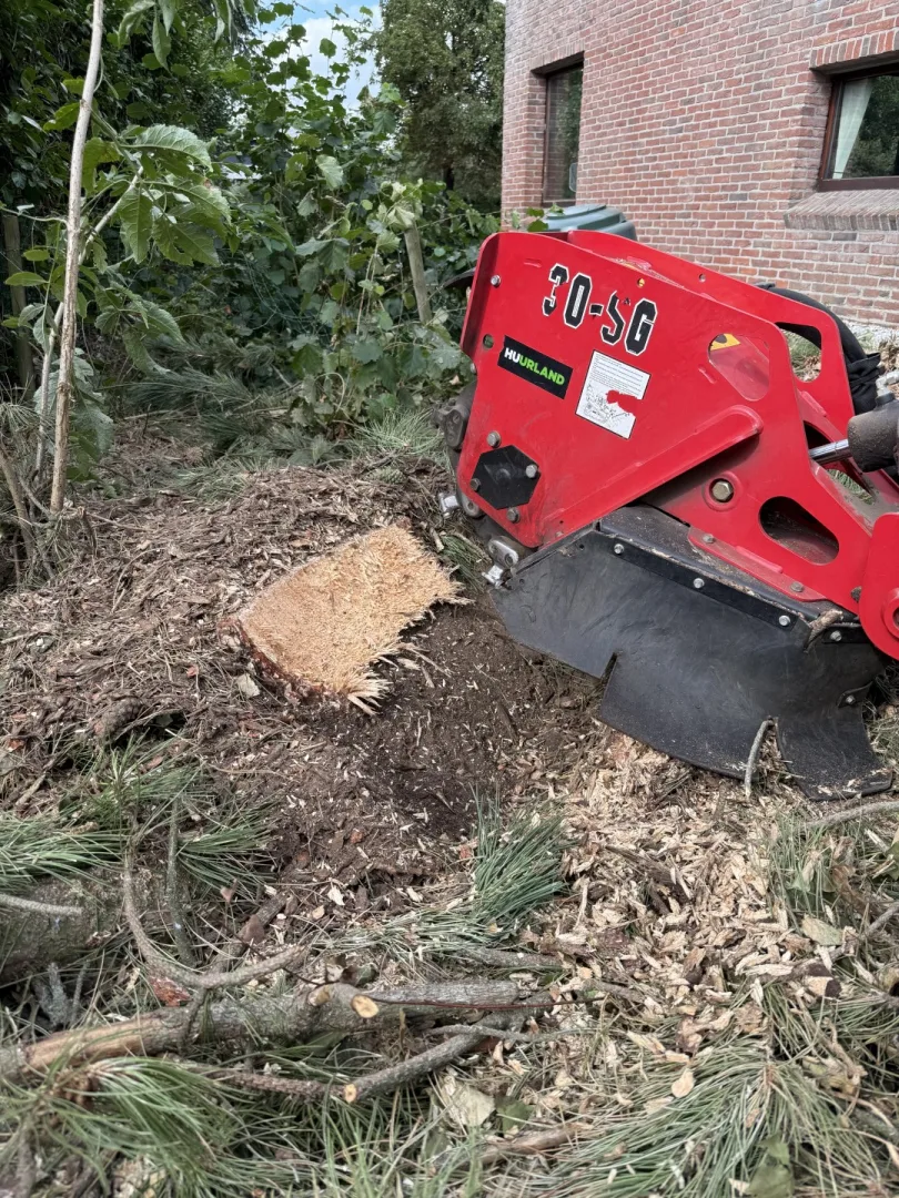 Tuinonderhoud foto 14