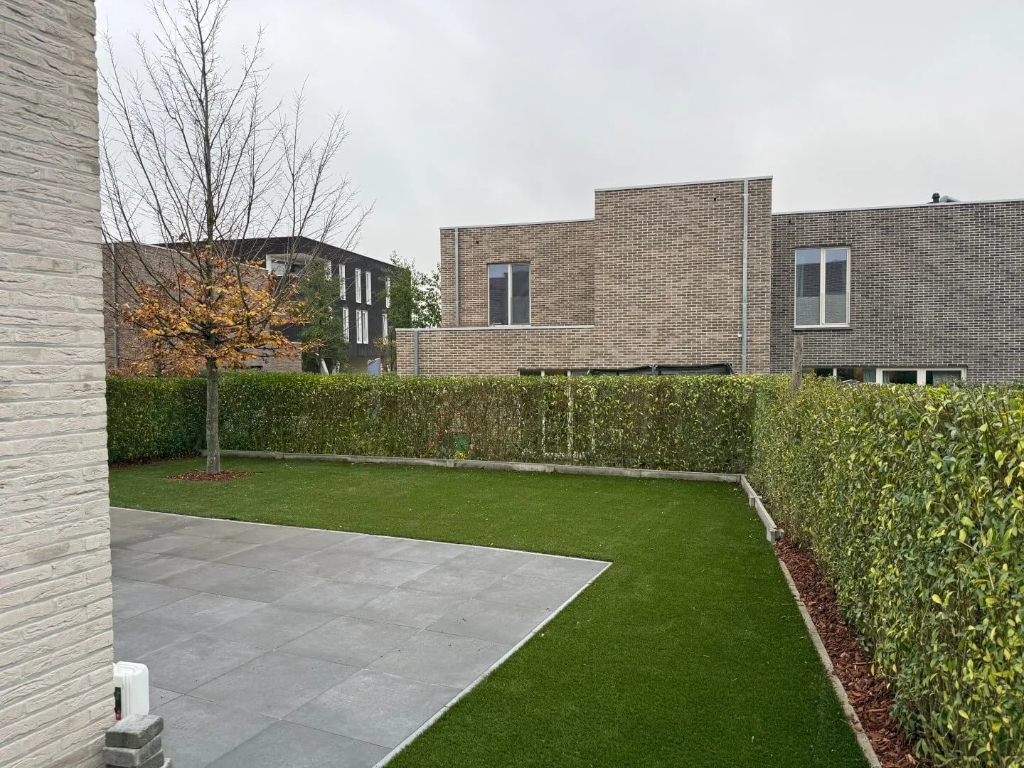 Tuinonderhoud Aalst Sleedoorn 1