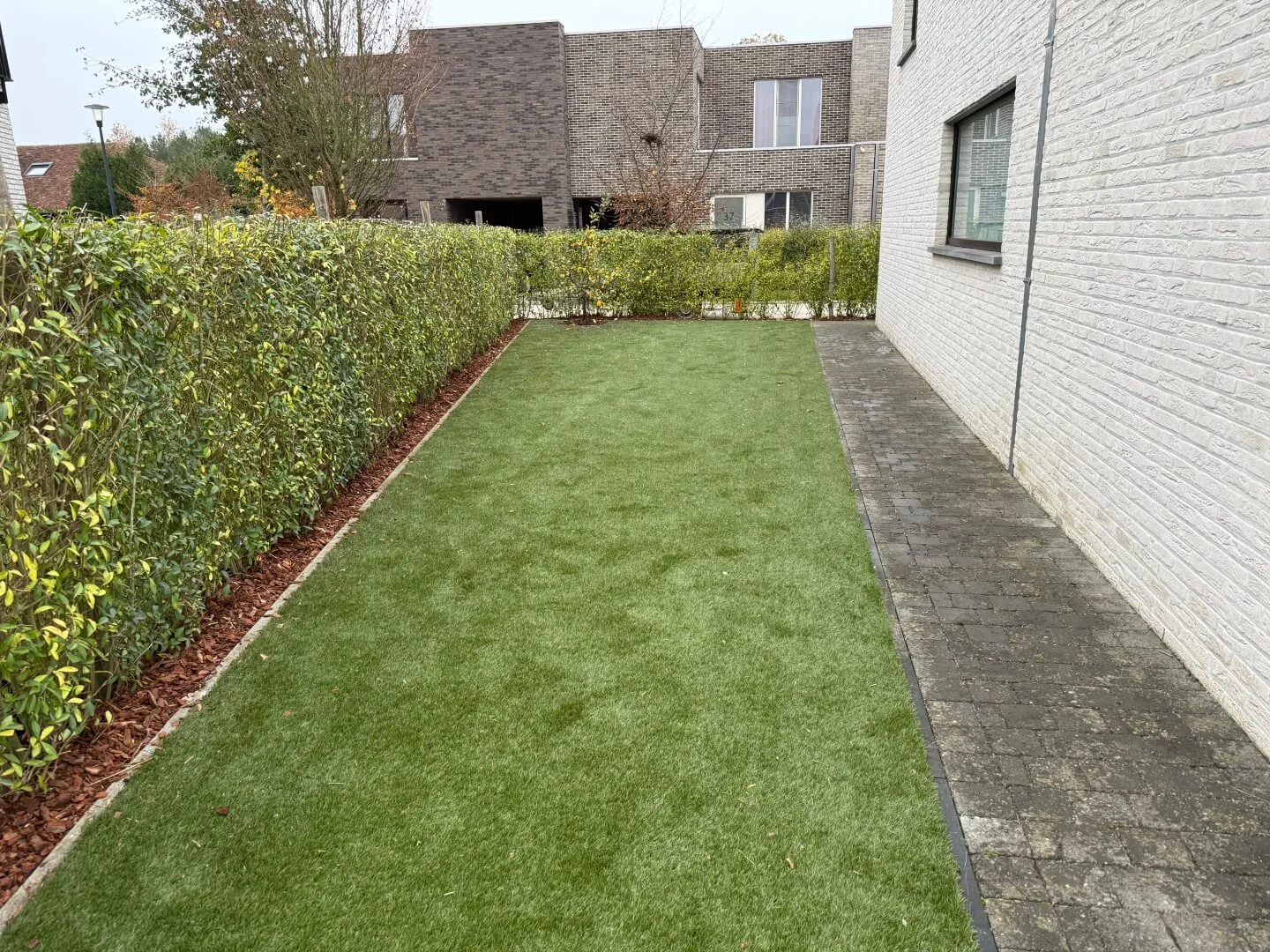 Tuinonderhoud Aalst Sleedoorn 2