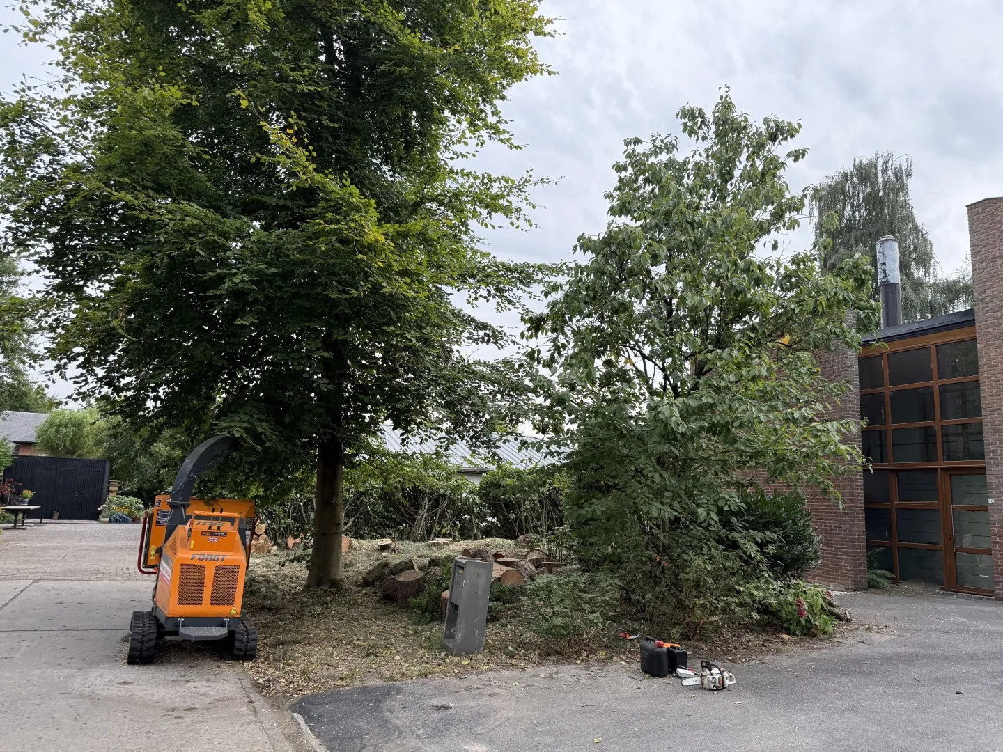 Bomen vellen en snoeien foto 17