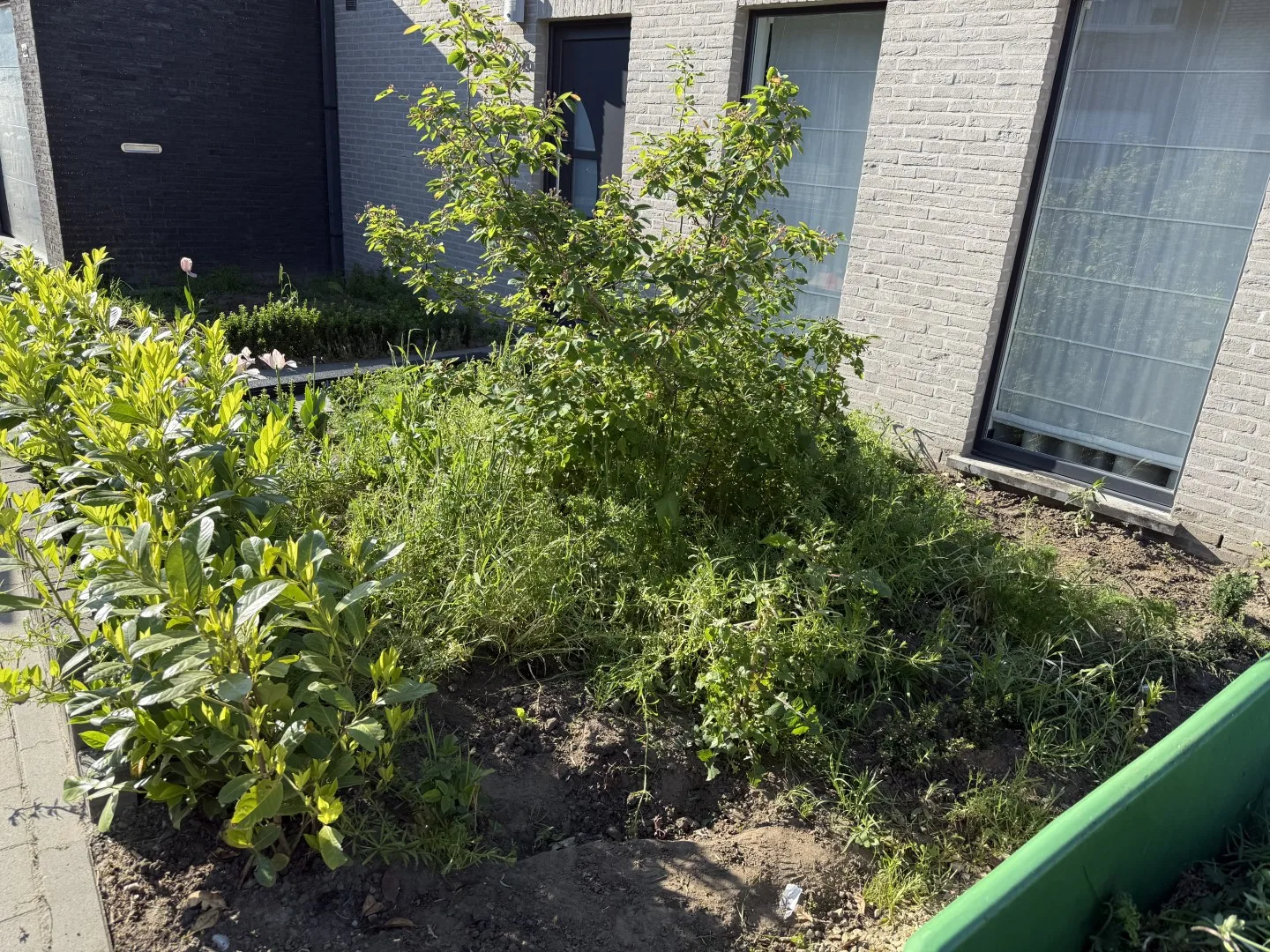 Tuinonderhoud foto 8