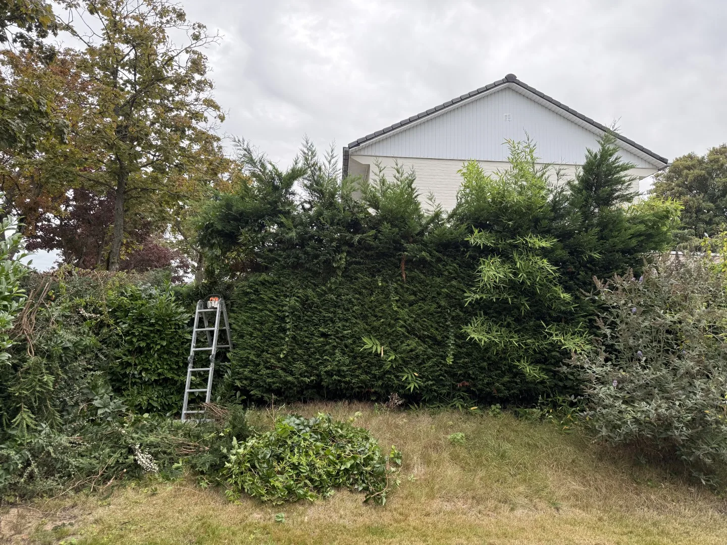 Tuinonderhoud foto 10